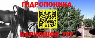 спиды Пенза