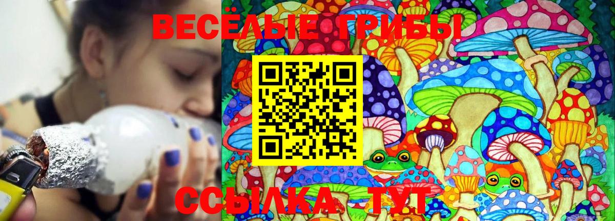Галлюциногенные грибы MAGIC MUSHROOMS  Вход с VPN  Галлюциногенные грибы MAGIC MUSHROOMS  Севастополь 